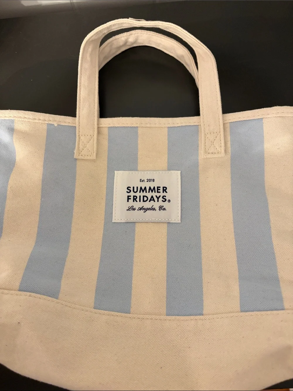 Summer Fridays Light Blue and Cream Striped Canvas Mini Tote